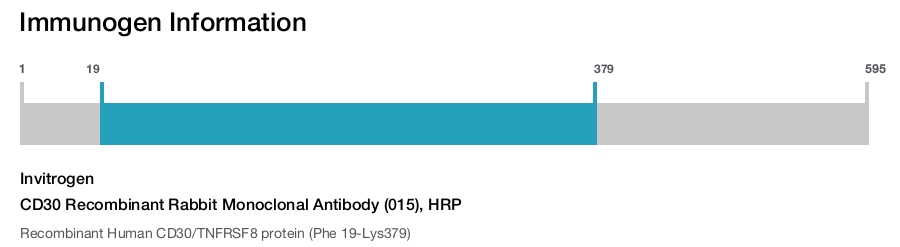 CD30 Recombinant Rabbit Monoclonal Antibody (015), HRP
