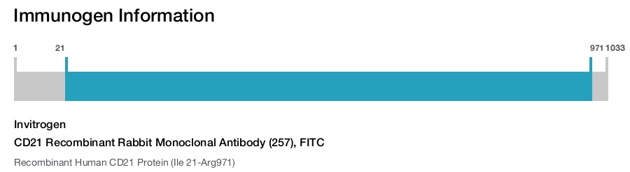 CD21 Recombinant Rabbit Monoclonal Antibody (257), FITC