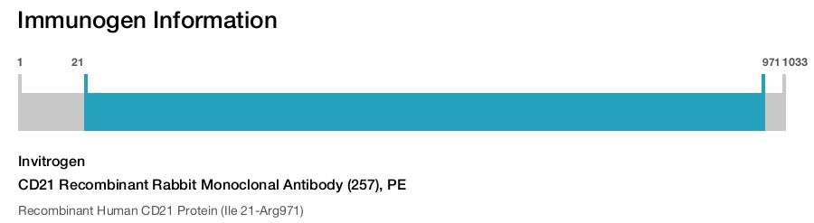 CD21 Recombinant Rabbit Monoclonal Antibody (257), PE