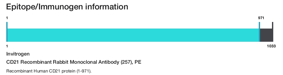 CD21 Recombinant Rabbit Monoclonal Antibody (257), PE