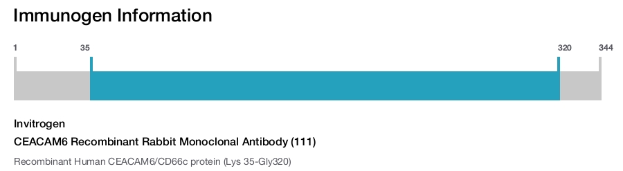 CEACAM6 Recombinant Rabbit Monoclonal Antibody (111)