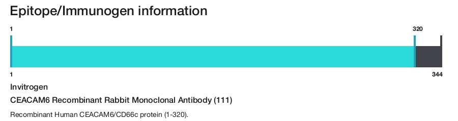 CEACAM6 Recombinant Rabbit Monoclonal Antibody (111)