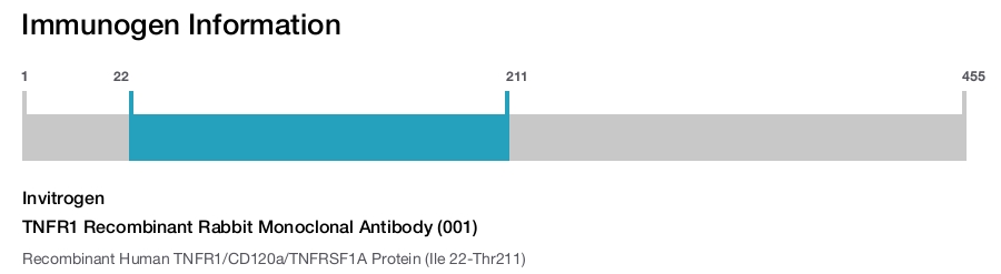 TNFR1 Recombinant Rabbit Monoclonal Antibody (001)