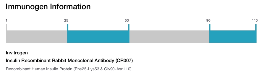 Insulin Recombinant Rabbit Monoclonal Antibody (CR007)