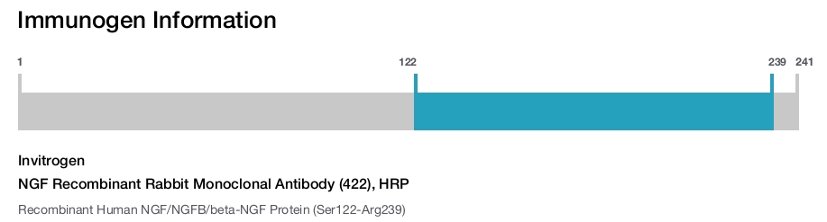 NGF Recombinant Rabbit Monoclonal Antibody (422), HRP