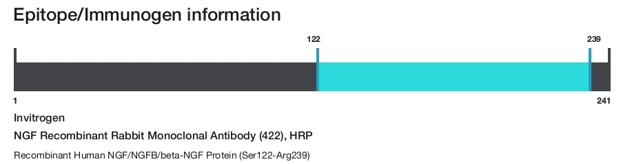 NGF Recombinant Rabbit Monoclonal Antibody (422), HRP