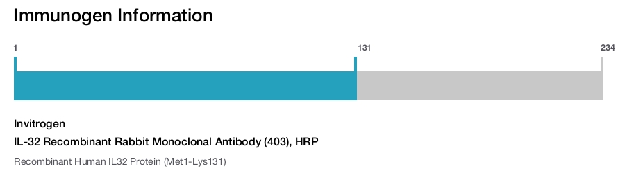 IL-32 Recombinant Rabbit Monoclonal Antibody (403), HRP