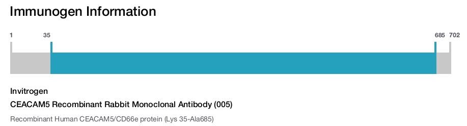 CEACAM5 Recombinant Rabbit Monoclonal Antibody (005)