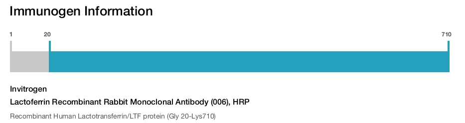 Lactoferrin Recombinant Rabbit Monoclonal Antibody (006), HRP