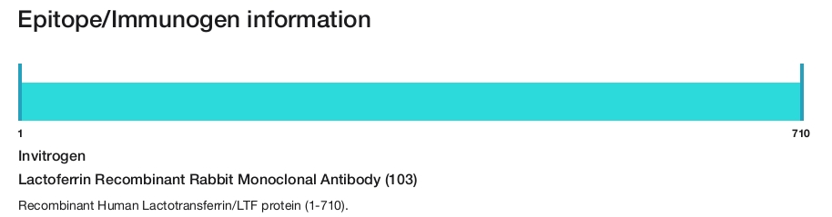 Lactoferrin Recombinant Rabbit Monoclonal Antibody (103)
