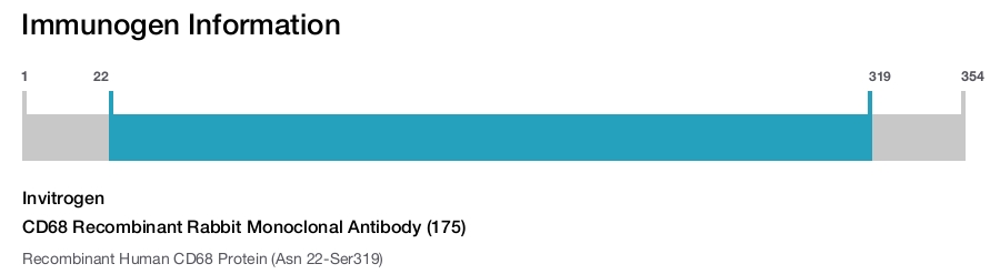 CD68 Recombinant Rabbit Monoclonal Antibody (175)