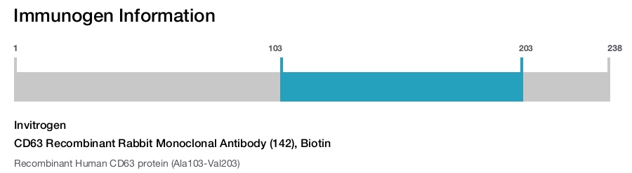 CD63 Recombinant Rabbit Monoclonal Antibody (142), Biotin