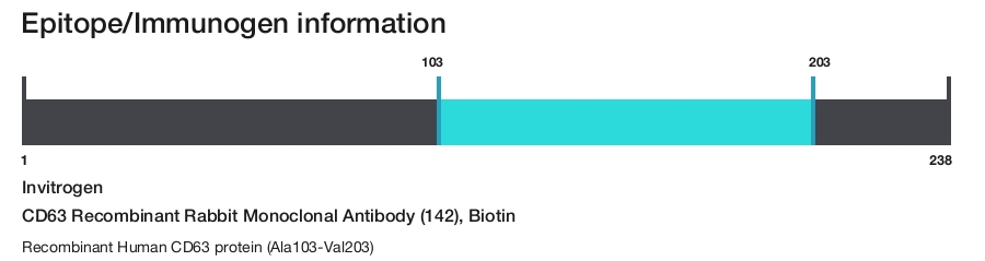 CD63 Recombinant Rabbit Monoclonal Antibody (142), Biotin