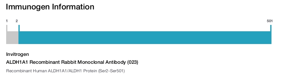 ALDH1A1 Recombinant Rabbit Monoclonal Antibody (023)
