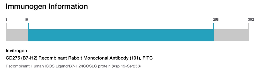 CD275 (B7-H2) Recombinant Rabbit Monoclonal Antibody (101), FITC