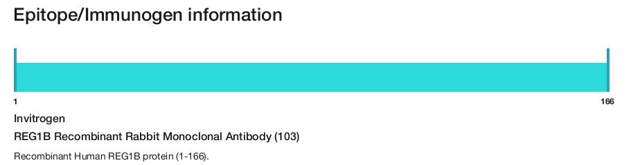 REG1B Recombinant Rabbit Monoclonal Antibody (103)