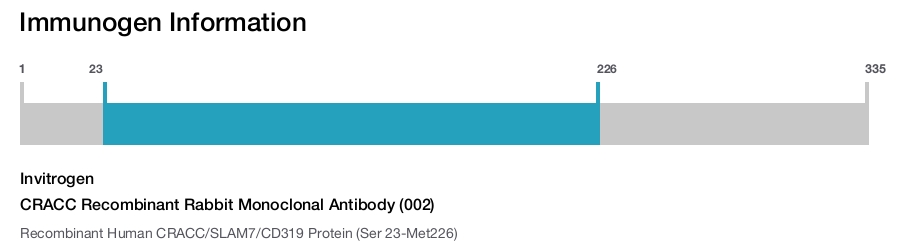 CRACC Recombinant Rabbit Monoclonal Antibody (002)