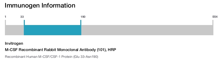 M-CSF Recombinant Rabbit Monoclonal Antibody (101), HRP