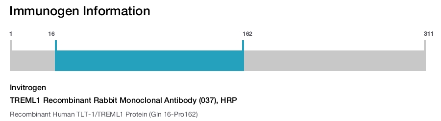 TREML1 Recombinant Rabbit Monoclonal Antibody (037), HRP
