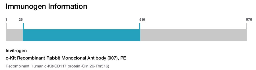 c-Kit Recombinant Rabbit Monoclonal Antibody (007), PE