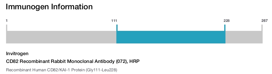CD82 Recombinant Rabbit Monoclonal Antibody (072), HRP