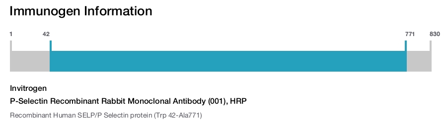 P-Selectin Recombinant Rabbit Monoclonal Antibody (001), HRP