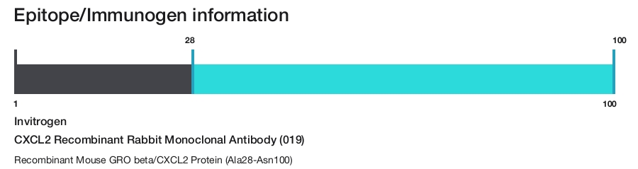 CXCL2 Recombinant Rabbit Monoclonal Antibody (019)