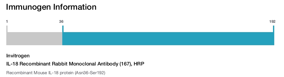 IL-18 Recombinant Rabbit Monoclonal Antibody (167), HRP