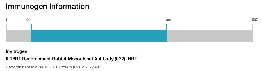 IL18R1 Recombinant Rabbit Monoclonal Antibody (032), HRP