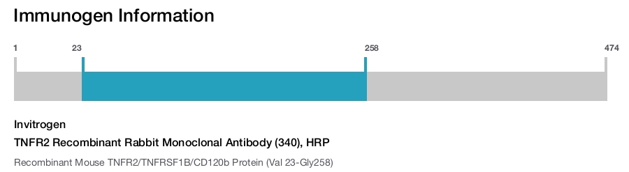 TNFR2 Recombinant Rabbit Monoclonal Antibody (340), HRP