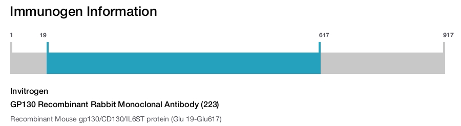 GP130 Recombinant Rabbit Monoclonal Antibody (223)