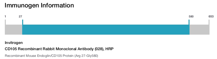 CD105 Recombinant Rabbit Monoclonal Antibody (028), HRP