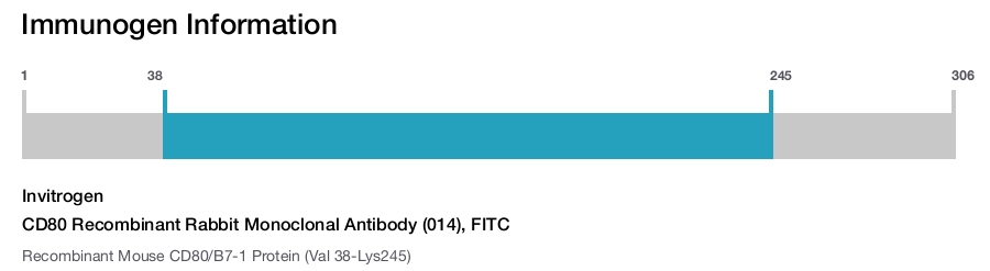 CD80 Recombinant Rabbit Monoclonal Antibody (014), FITC