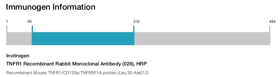 TNFR1 Recombinant Rabbit Monoclonal Antibody (028), HRP