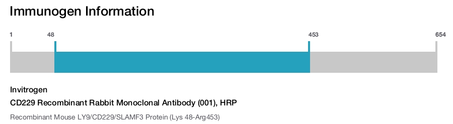 CD229 Recombinant Rabbit Monoclonal Antibody (001), HRP