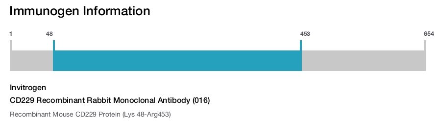 CD229 Recombinant Rabbit Monoclonal Antibody (016)
