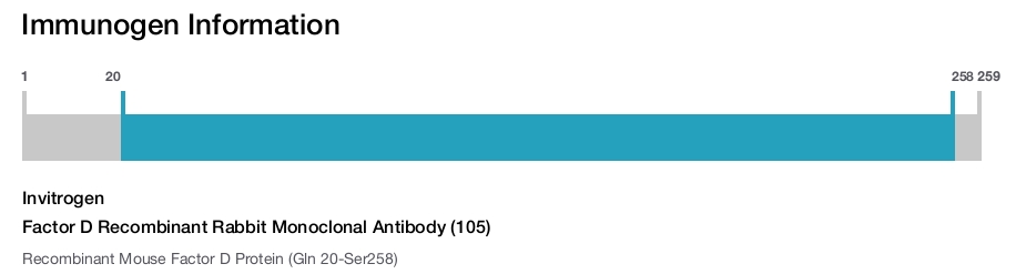Factor D Recombinant Rabbit Monoclonal Antibody (105)