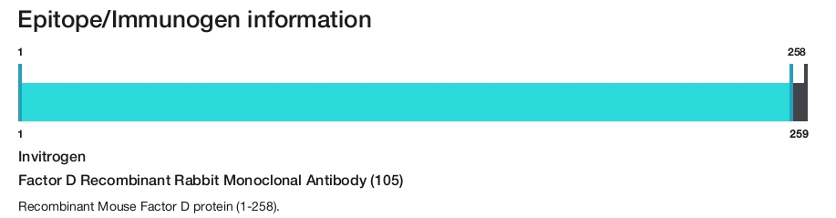 Factor D Recombinant Rabbit Monoclonal Antibody (105)