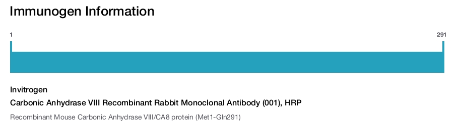 Carbonic Anhydrase VIII Recombinant Rabbit Monoclonal Antibody (001), HRP