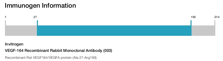 VEGF-164 Recombinant Rabbit Monoclonal Antibody (003)
