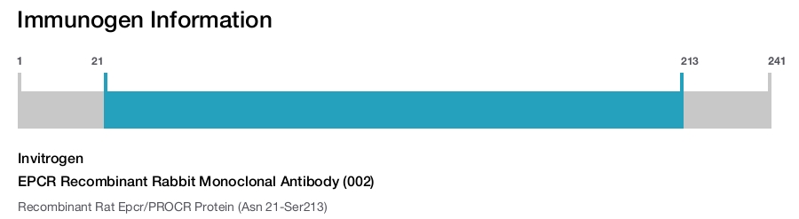 EPCR Recombinant Rabbit Monoclonal Antibody (002)