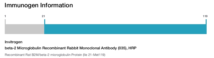 beta-2 Microglobulin Recombinant Rabbit Monoclonal Antibody (035), HRP
