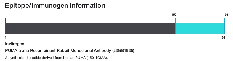 PUMA alpha Recombinant Rabbit Monoclonal Antibody (23GB1935)
