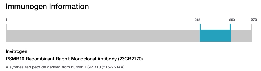 PSMB10 Recombinant Rabbit Monoclonal Antibody (23GB2170)