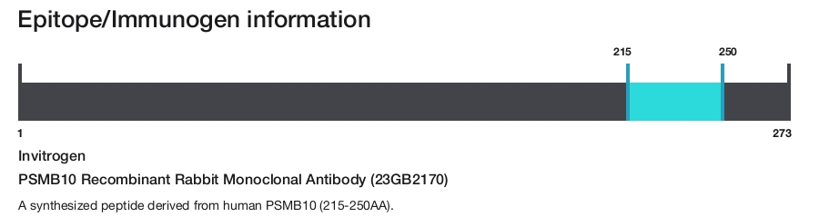 PSMB10 Recombinant Rabbit Monoclonal Antibody (23GB2170)