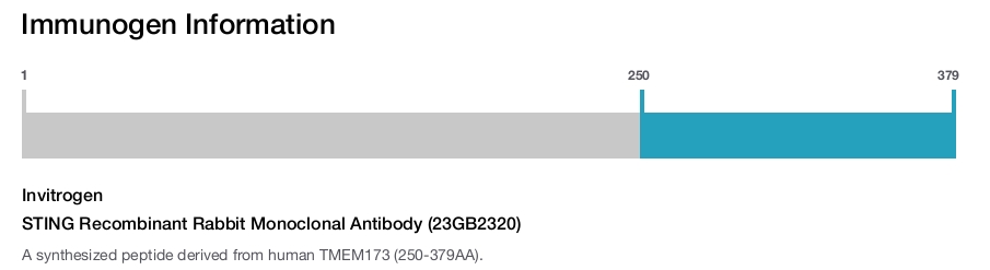 STING Recombinant Rabbit Monoclonal Antibody (23GB2320)