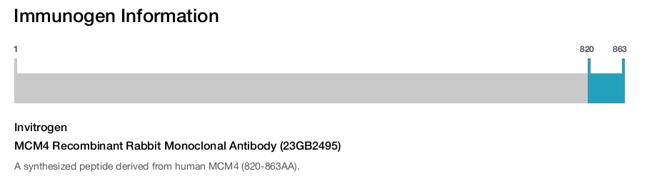 MCM4 Recombinant Rabbit Monoclonal Antibody (23GB2495)