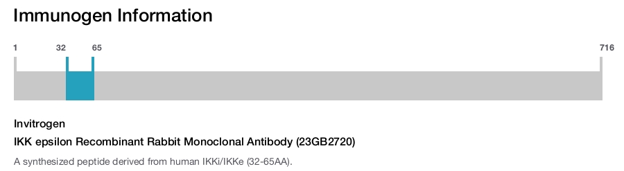 IKK epsilon Recombinant Rabbit Monoclonal Antibody (23GB2720)