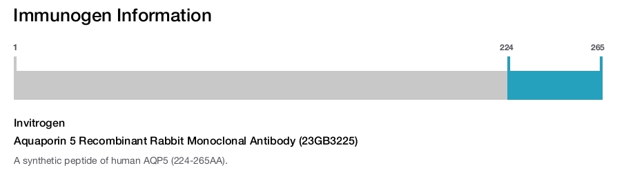 Aquaporin 5 Recombinant Rabbit Monoclonal Antibody (23GB3225)