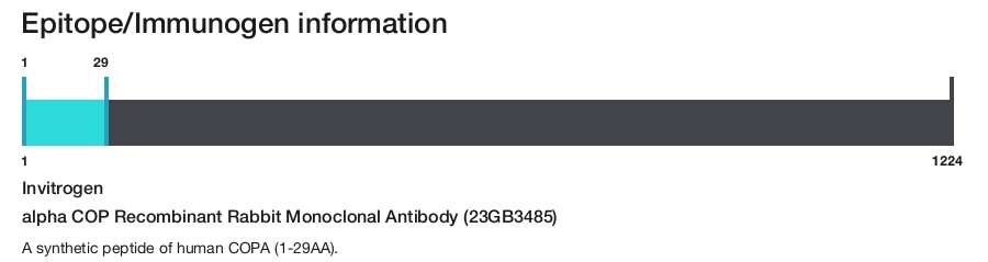 alpha COP Recombinant Rabbit Monoclonal Antibody (23GB3485)